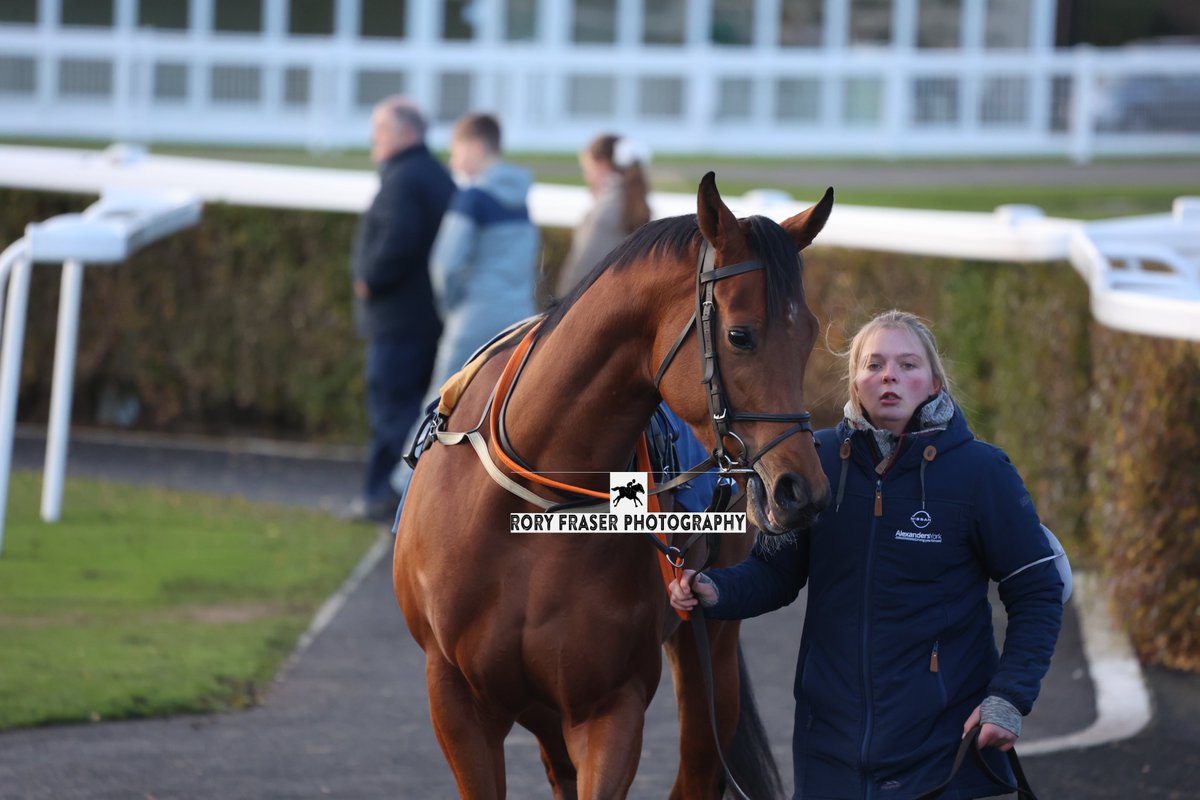 Rory Fraser Photography🤘 tweet media