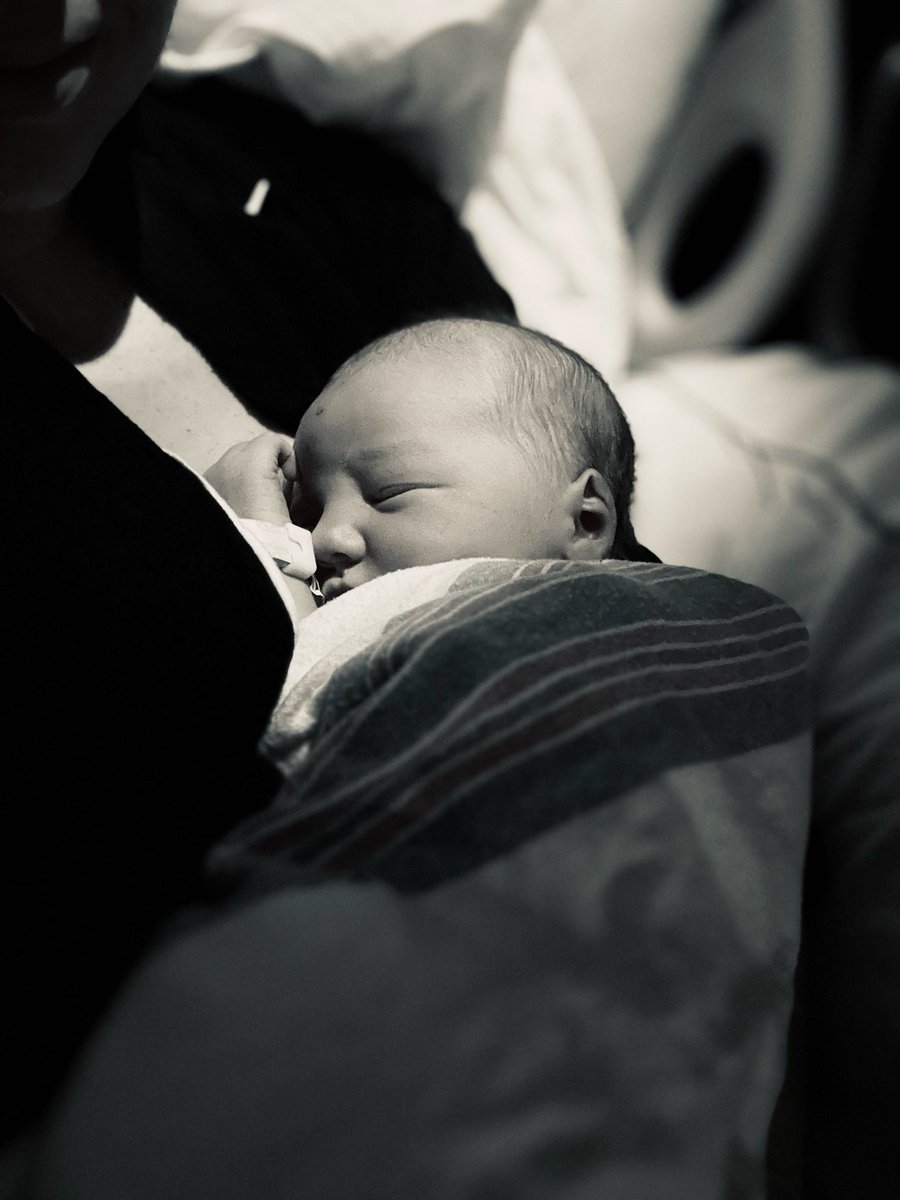 julia onken brown tweet media