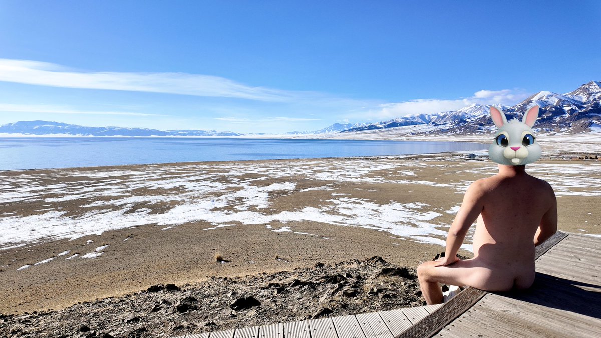 朝云引 tweet media