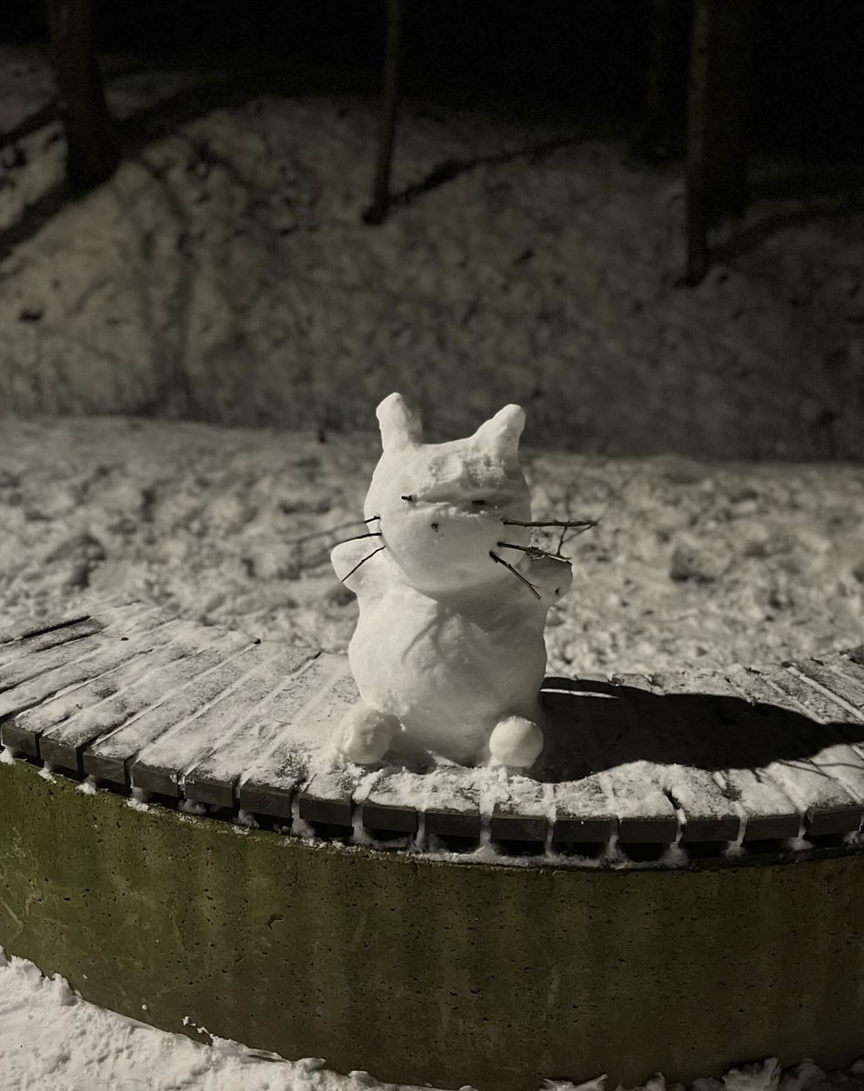 Kaķēns mežā ezi sauc, kur gan palicis mans draugs ! Sniegi snieg un puteņo! Kā lai tagad atrod to? Vāverīte kokā smej, velti draugu meklēt ej. Kamēr sals un kamēr sniegs, Ezim mežā ziemas miegs.😻  #Valmiera🇺🇦