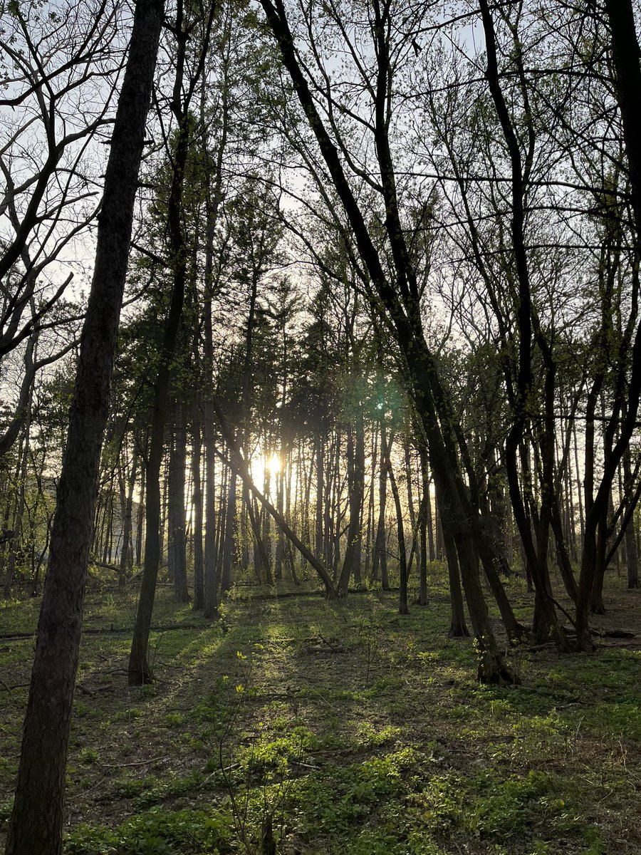 unevenstring180's tweet image. 