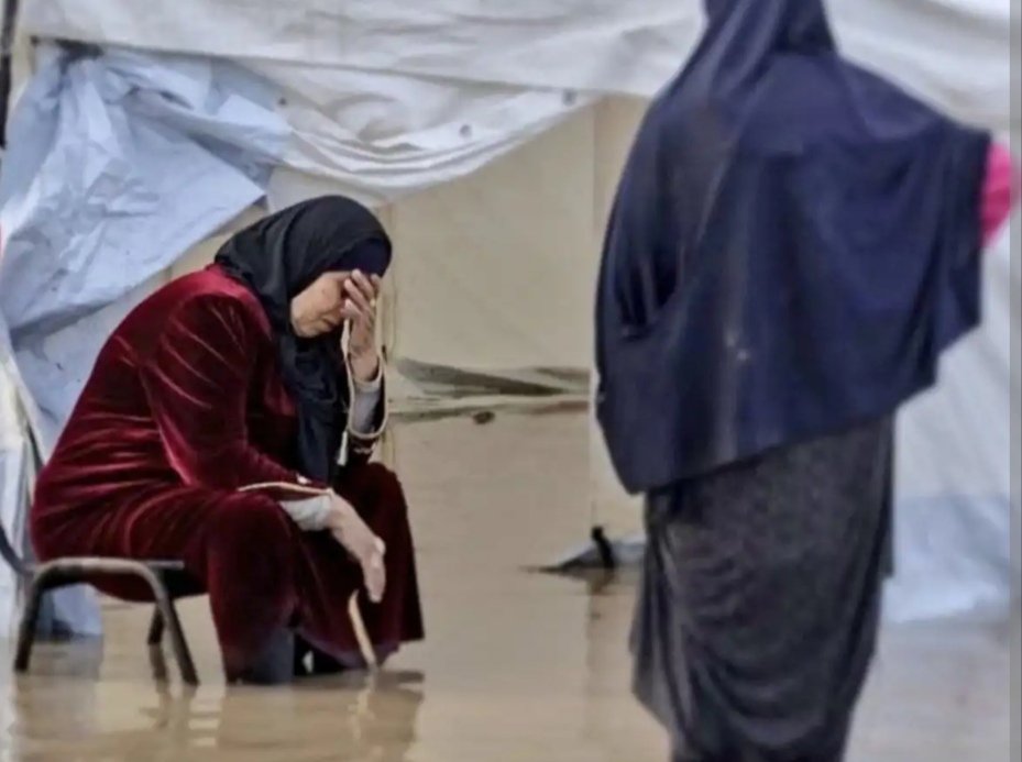 Gazze için her konteynır bir hayat demek.
Ses ver, görmezden gelme!
Konteynırların Gazze'ye ulaşması için harekete geç!
#ContainerToGaza

<a href="/RTErdogan/">Recep Tayyip Erdoğan</a>
<a href="/TamimBinHamad/">تميم بن حمد</a>
<a href="/AlsisiOfficial/">Abdelfattah Elsisi</a>
<a href="/realDonaldTrump/">Donald J. Trump</a>
<a href="/UN/">United Nations</a>