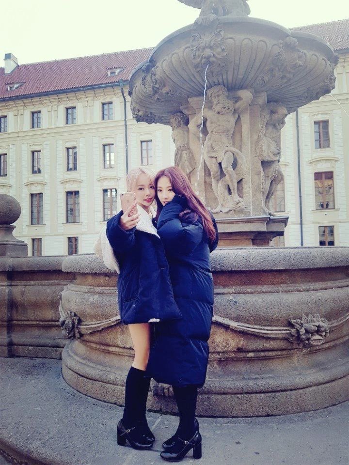 oh bicurious yeah #teamMYKI tweet media