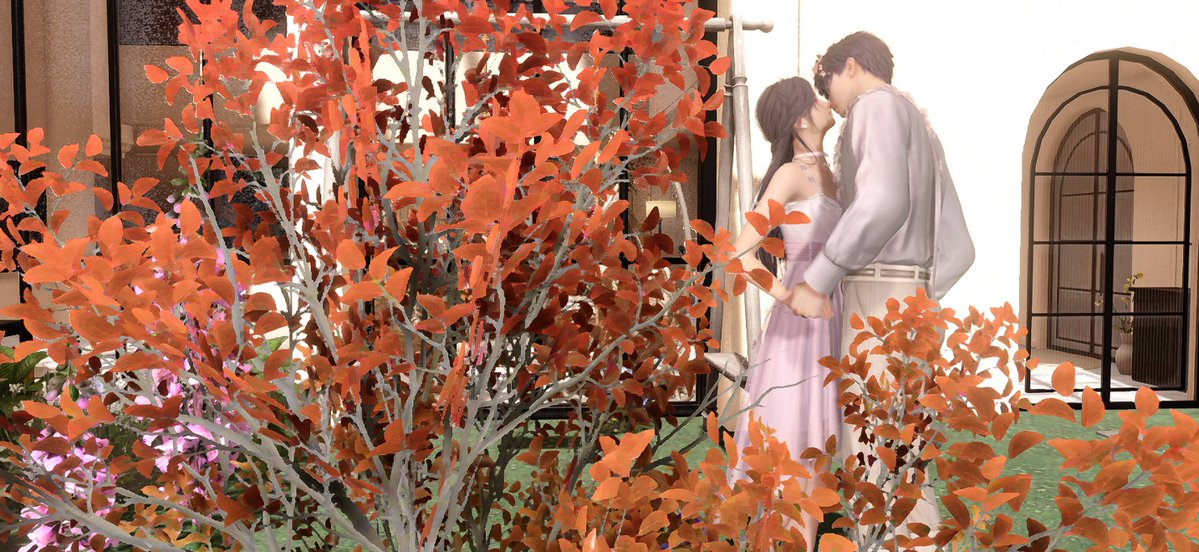 後ありがとうホーム😭😭😭少し癒された...植物もっと置きたい