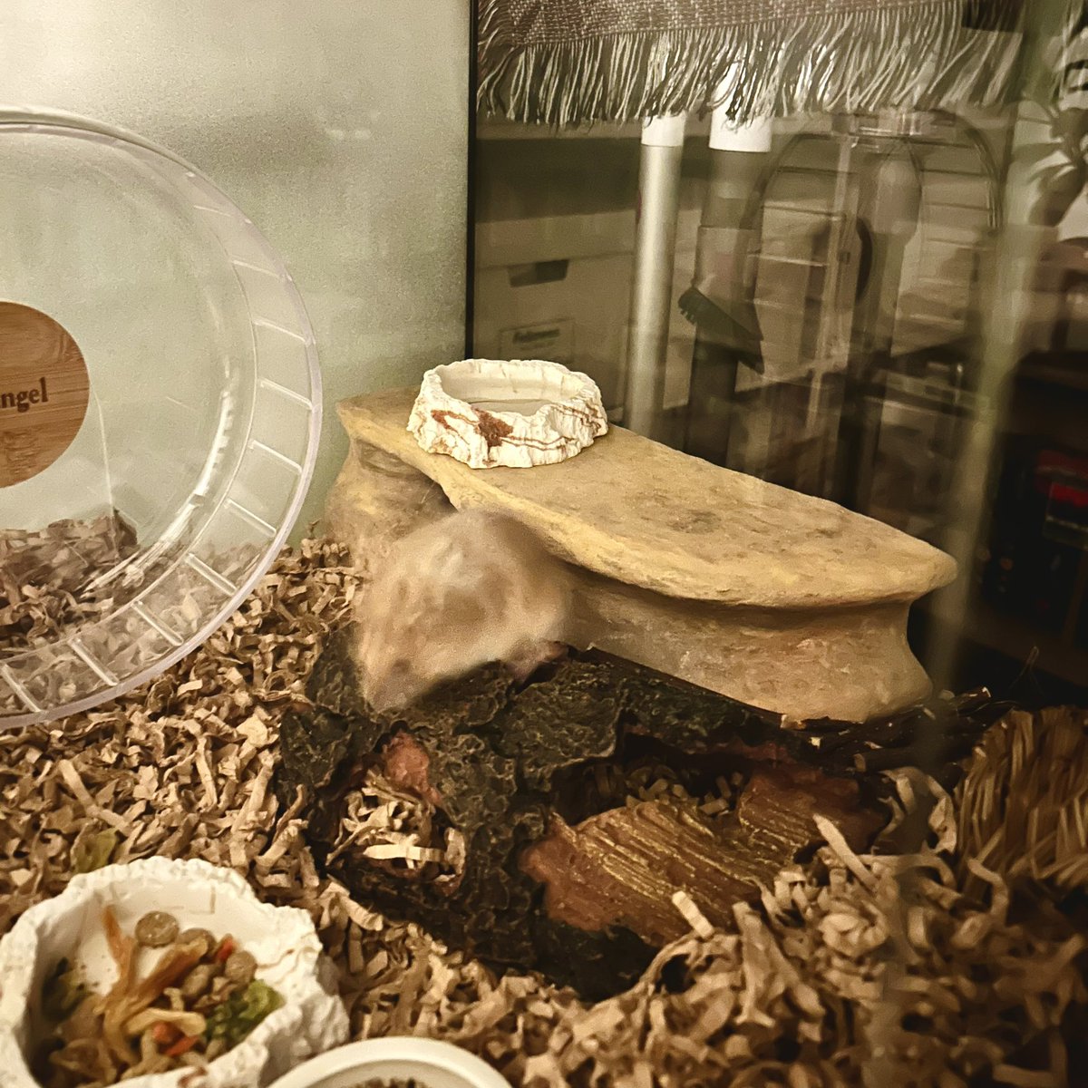 金属細工師 (@yuuhirano0207) / Posts / X