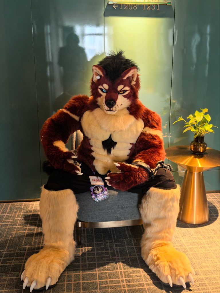 RedWolfSiche's tweet photo. Hello！My name is Siche.A Wolf from China. This is my fursuit.
#fursuit #furry #FursuitsEveryday https://t.co/wx70cqn147