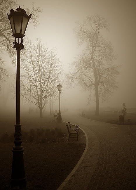 👻 𝘯𝑎𝘵𝑢𝘳𝑒 👻 tweet media