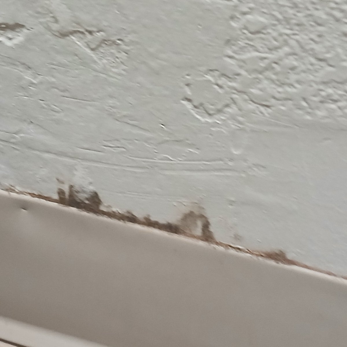 redmoonmonk's tweet photo. @WyndhamHotels @WyndhamRewards 
Yeah thisnis what I was living with for 41 days and yall dont want to give me my taxes health department will see this!!! https://t.co/xouSIBE9Cz