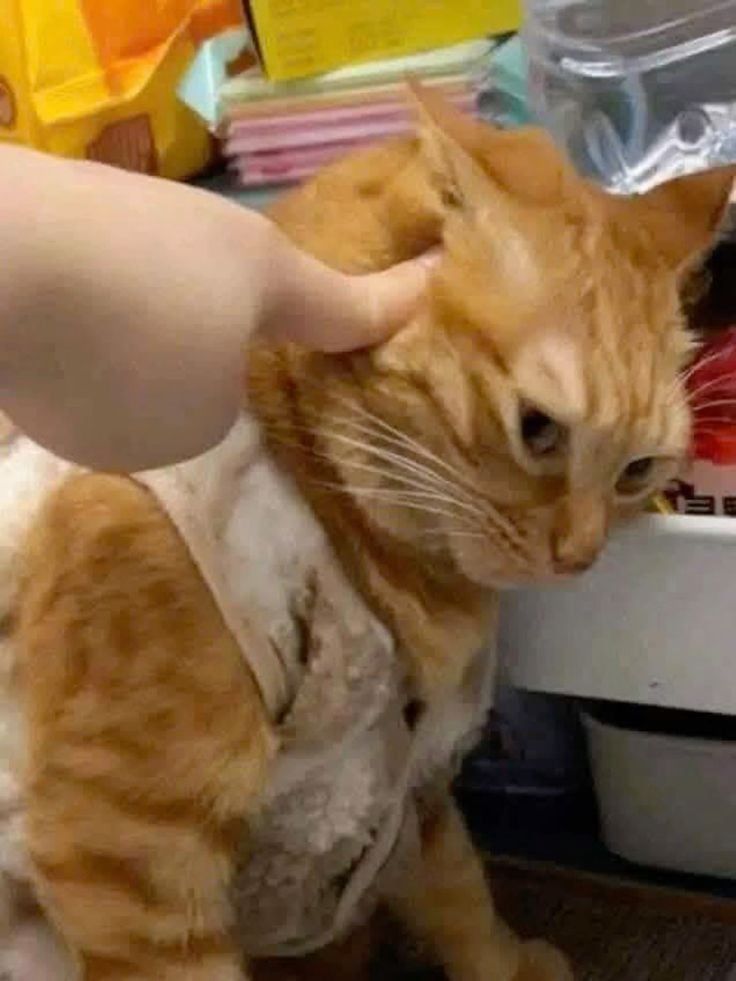 🚀 JOIN NOW &amp; GET YOUR FIRST 3 TOKENS FREE 
twitch.tv/afrecus
twitch.tv/afrecus
twitch.tv/afrecus
twitch.tv/afrecus
#GamingStream #LiveNow  #GamingCommunity #StreamerLife #PlayAndEarn #EpicStream #HypeStream #GameOn #Freebies #LiveGaming #StreamerVibes