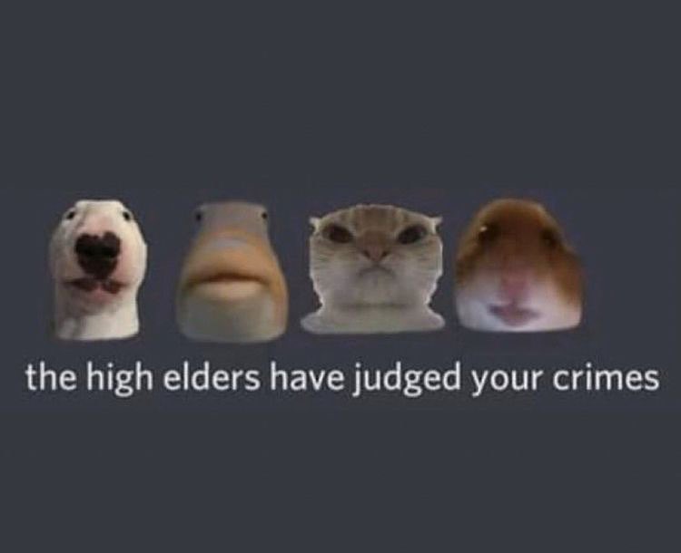 silenthill_gf's tweet image. looking for 18+ moots 🖤 

moot me if ur into marvel rivals, silent hill, overwatch, val, league, infinity nikki, skyrim, ffxiv, roblox, stardew, bg3, dragon age, mass effect, fortnite, vtmb, sims, horror, ateez, aot, death note + more 🖤

♡ + rt pls 🖤 {#promotwt}