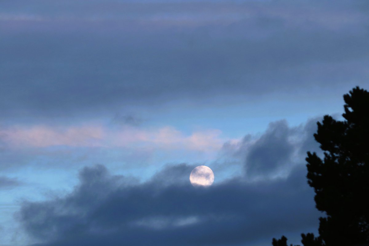 8am moon. Emerging from the clouds. #moon