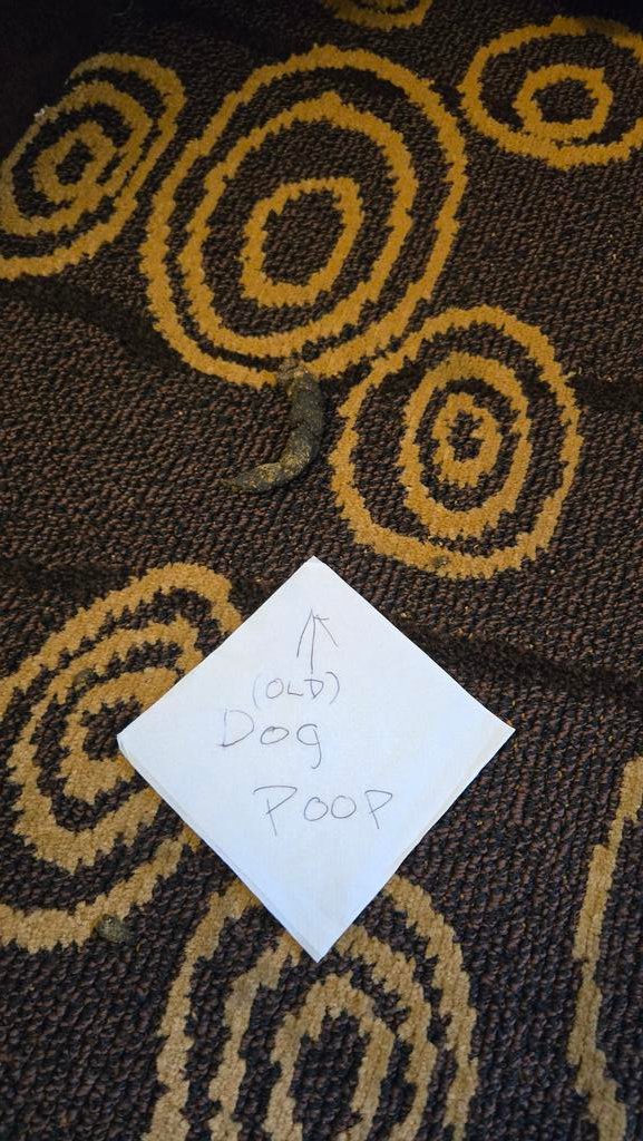 Chris Partridge tweet media