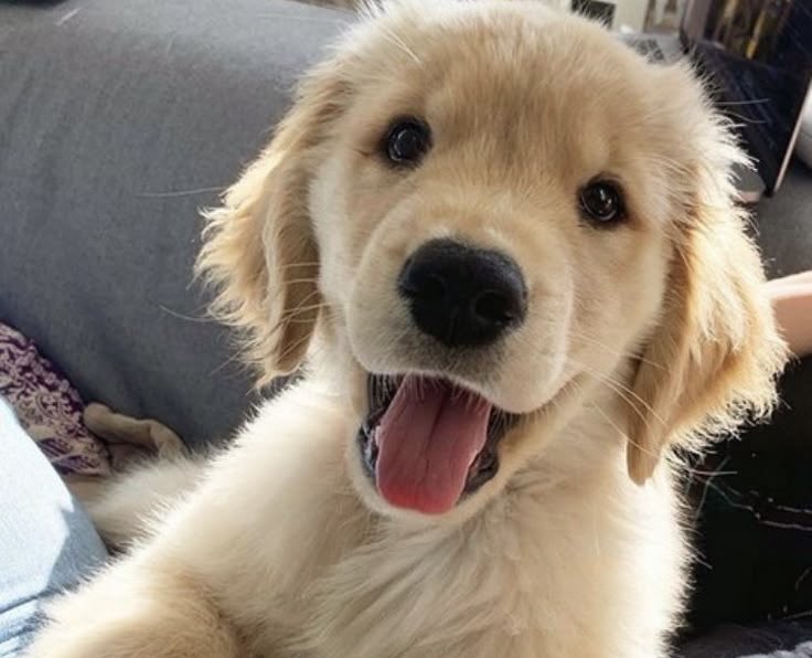 heeejaked's tweet image. branding indeed matters