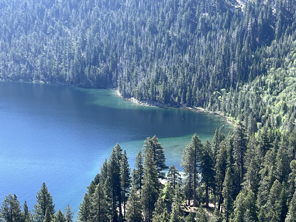 Sixto Porras tweet media