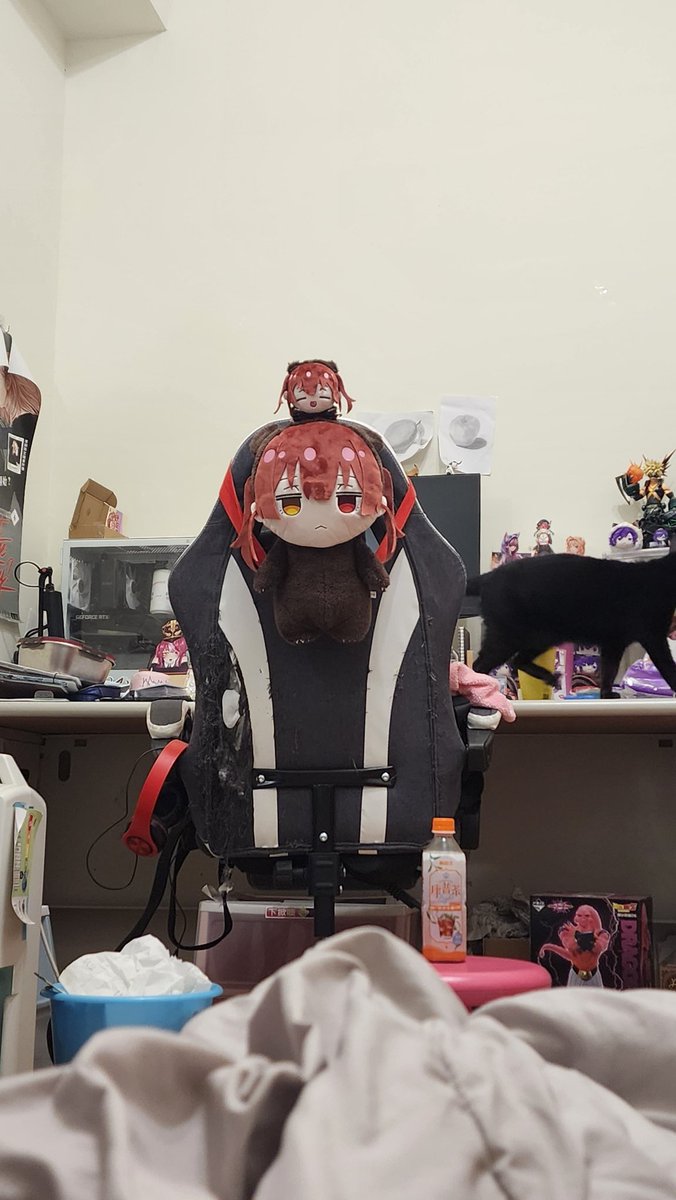 寝ているときはちょっと怖い
でもちょっとかわいいですね（？