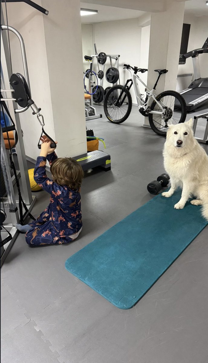 David Ferrer Galería tweet media