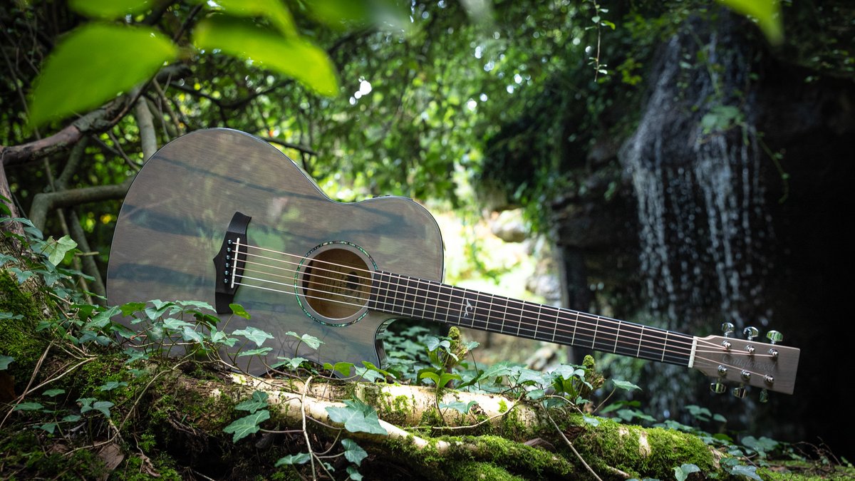 TANGLEWOOD GUITARS tweet media