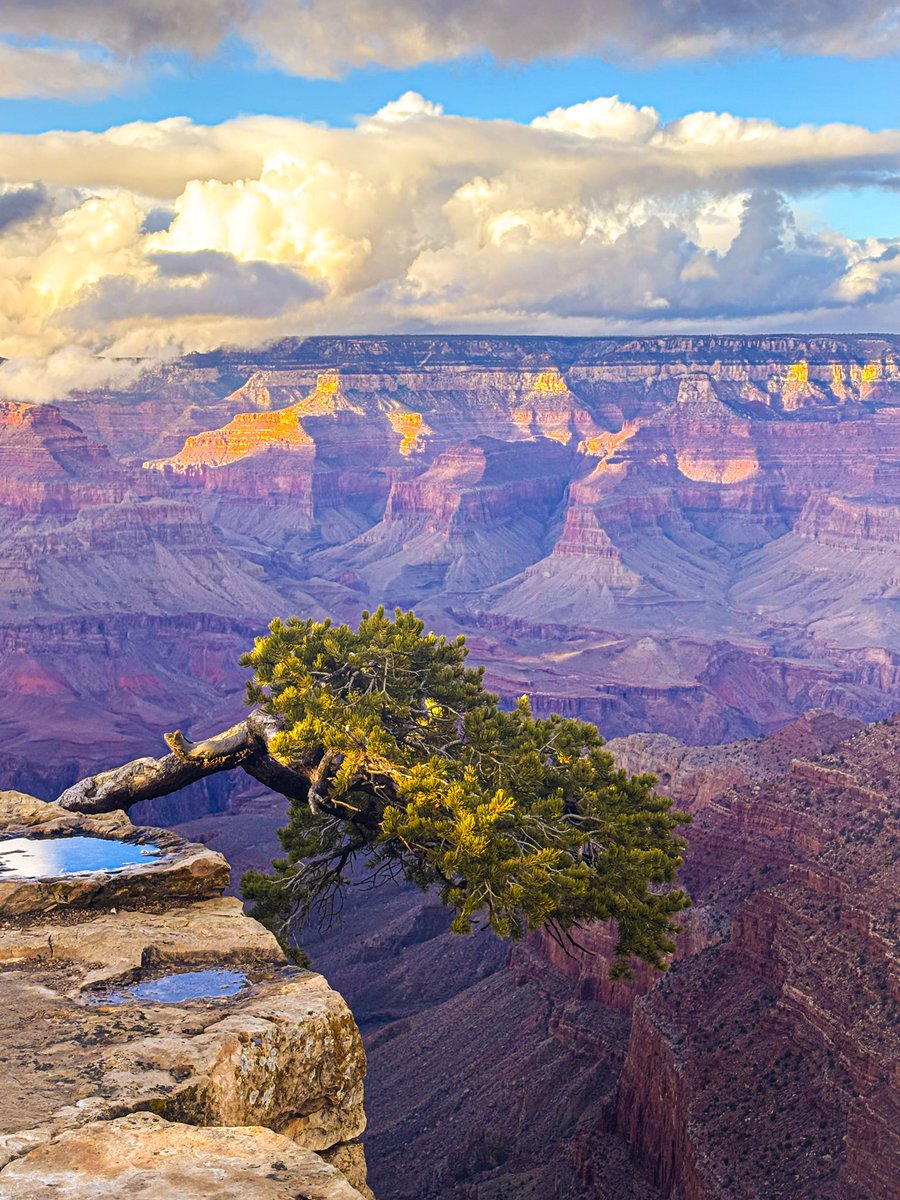 madametatum's tweet photo. ᨒ ོ ☼ The Grand Canyon ~ 
Our best and last trip of 2025 🤍 https://t.co/Ekpl5zc9vh