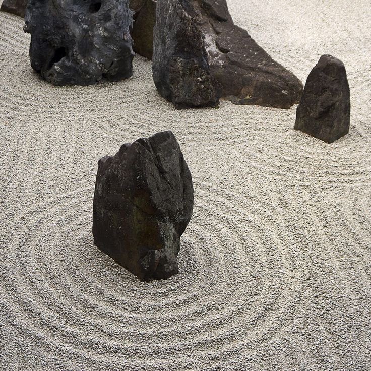 missdelicatie's tweet image. 