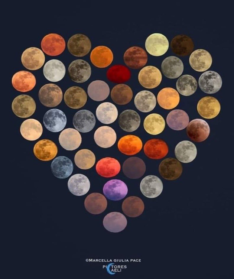 48 different colors of the Moon 😍

It took 10 years to take the photos😮