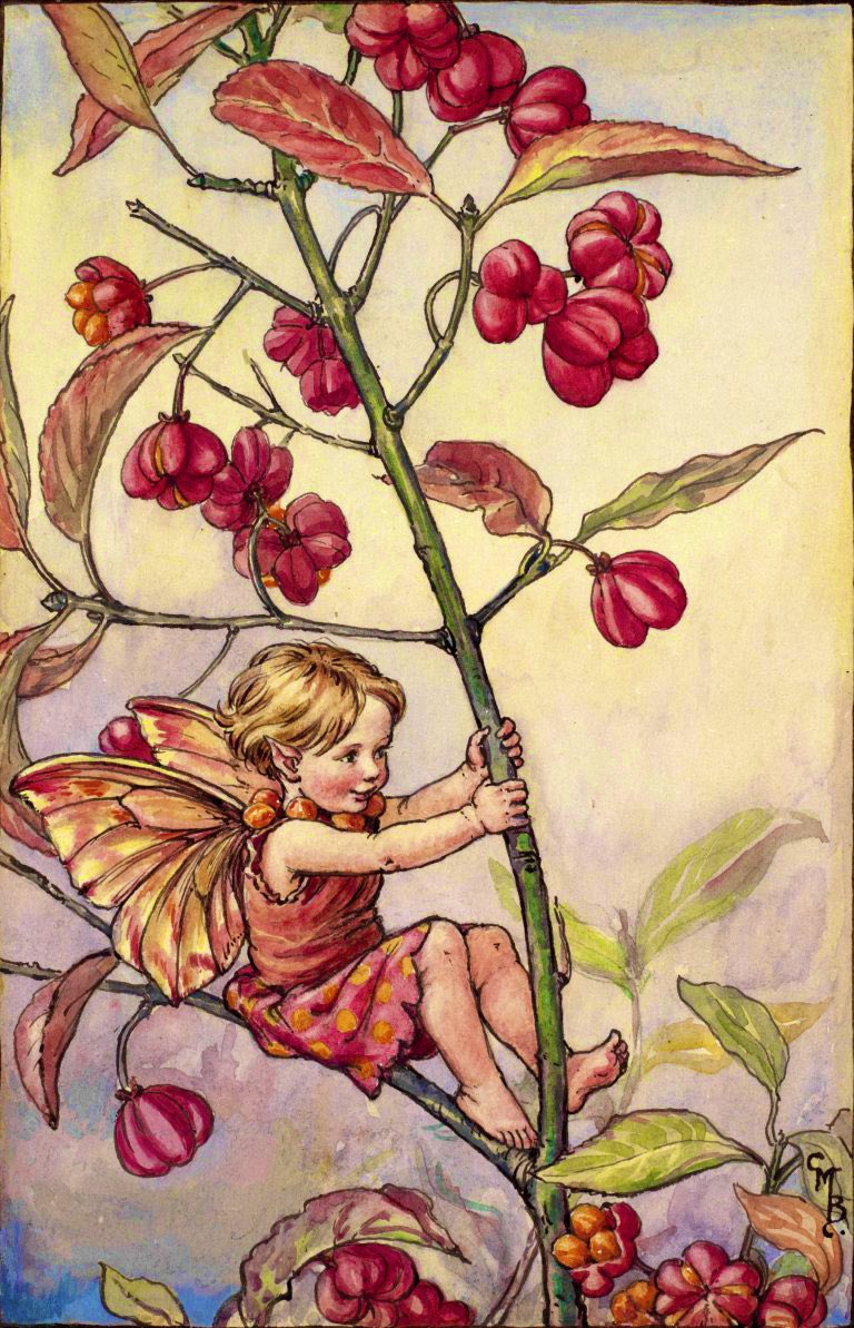 Maude Frome tweet media