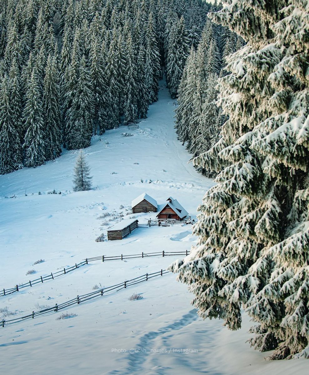 MFA of Ukraine 🇺🇦 tweet media