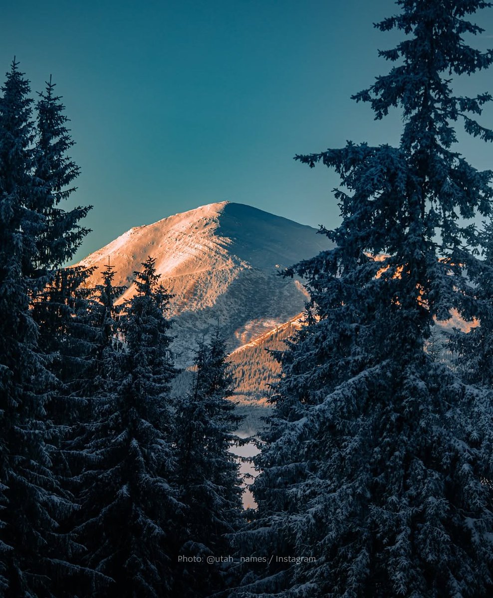 MFA of Ukraine 🇺🇦 tweet media