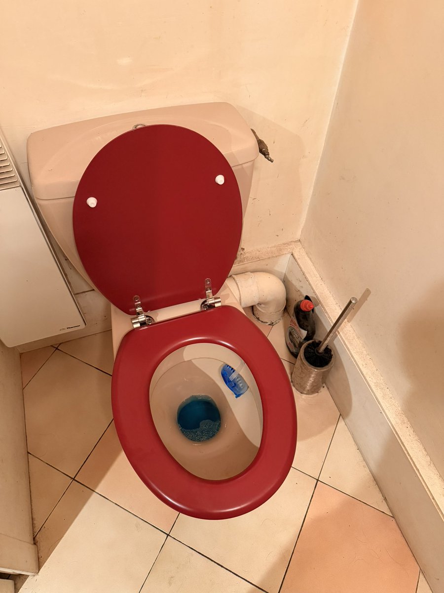 ROVER et TSARINE tweet media