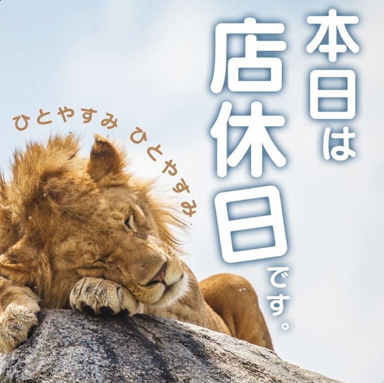 本日5日 新台入替準備の為 ライオンはひと休み🦁💤 詳細は後ほど