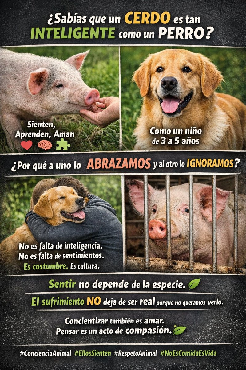 Dcrypto Rodriguez tweet media