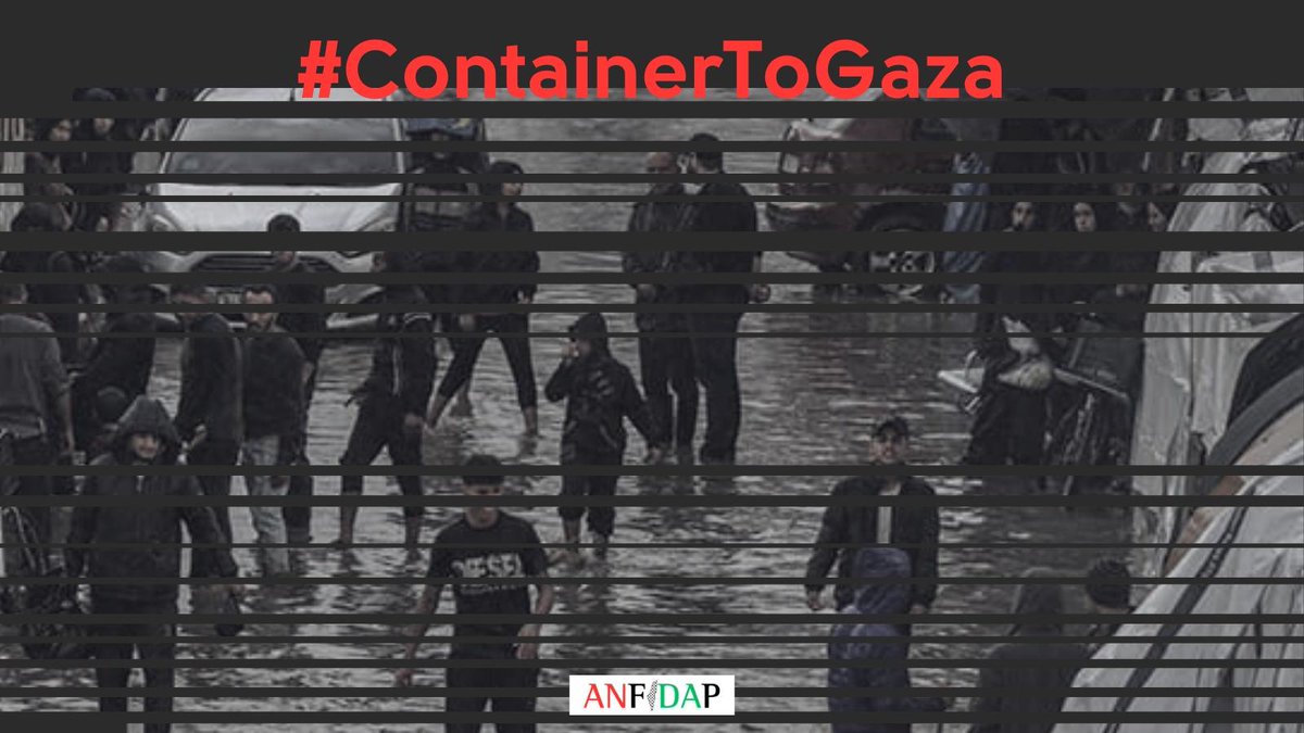 Israel, violating the ceasefire terms, continues the genocide.
#ContainerToGaza