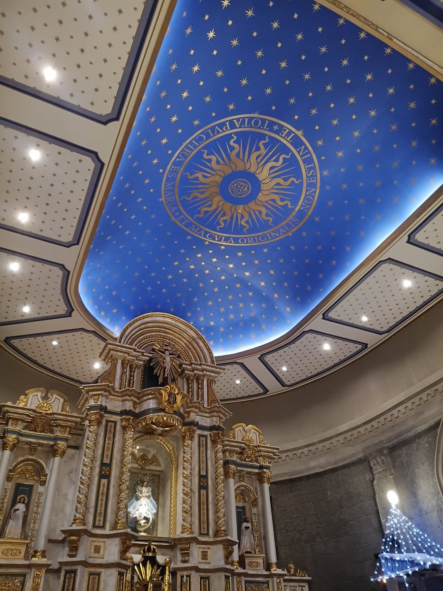 emysnativetrees's tweet image. A blessed week ahead ❤️