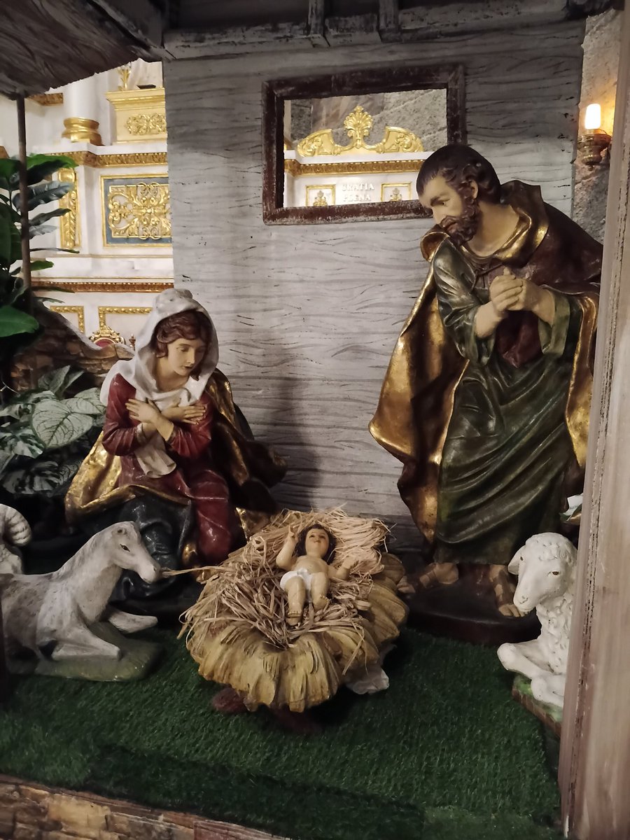 emysnativetrees's tweet image. A blessed week ahead ❤️