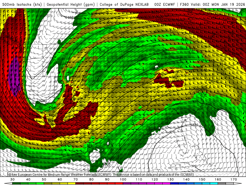 Theman2846 tweet media