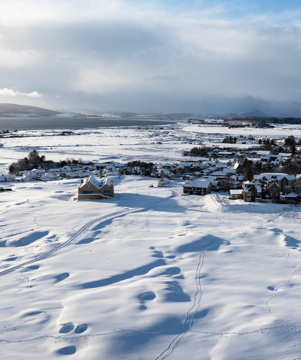 Royal Dornoch tweet media