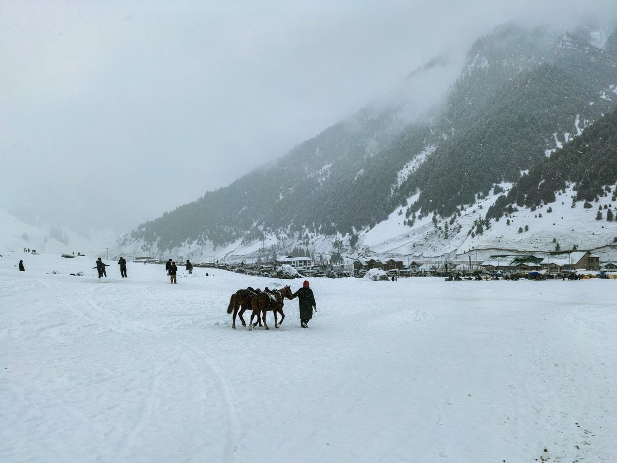 FaraazWani's tweet photo. #myencounterwithnature #farazandthelens #Kashmir #sonmarg #snowland https://t.co/CJFLCYUt6l