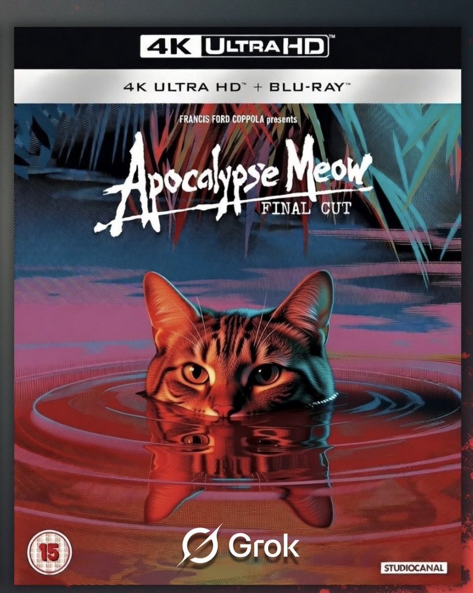 DW Design tweet media