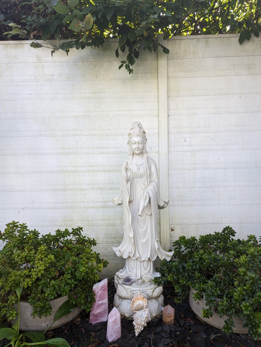 😴🕉️❤️‍🩹I AM Yoga Nidra I - Immersion Course🙏🧠🔱 - mailchi.mp/ad53d0b00686/t…