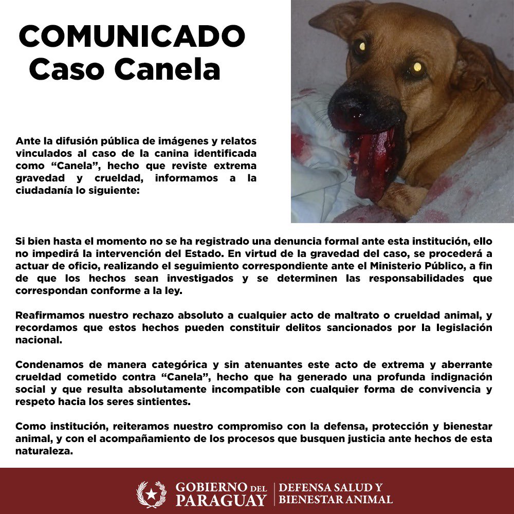 Comunicado ante el caso de “Canela” 🚨

#GobiernoDelParaguay