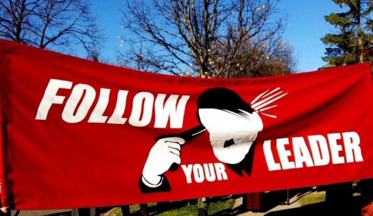 "no nazis, no problem."