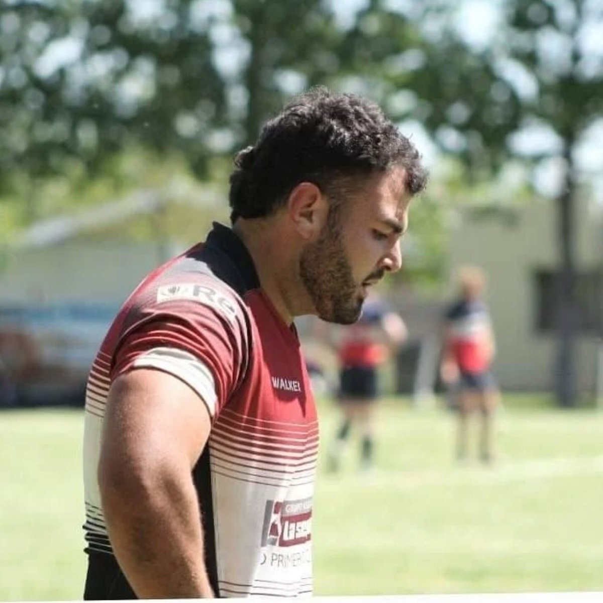 HeterosPrim tweet media