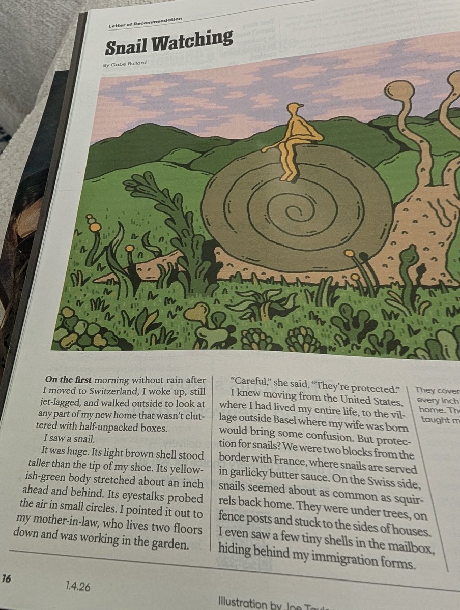 The Experimentalist tweet media