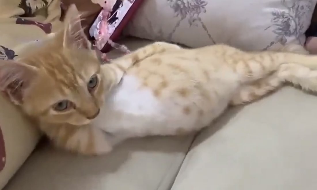 lastrainyseason's tweet image. เอ้ะ