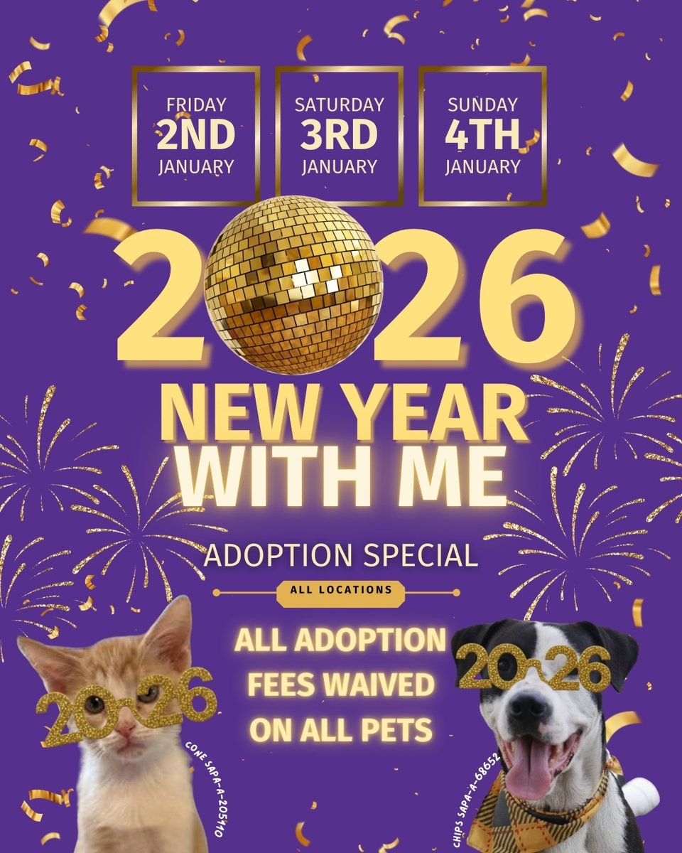 San Antonio Pets Alive! tweet media