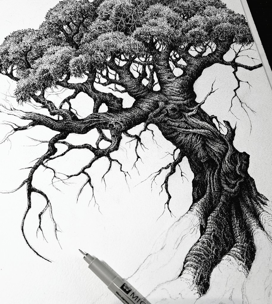 Karl Trewhela 🖊 tweet media