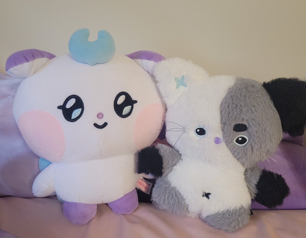 xdinarymango's tweet image. why they kinda look like cousins am I delusional