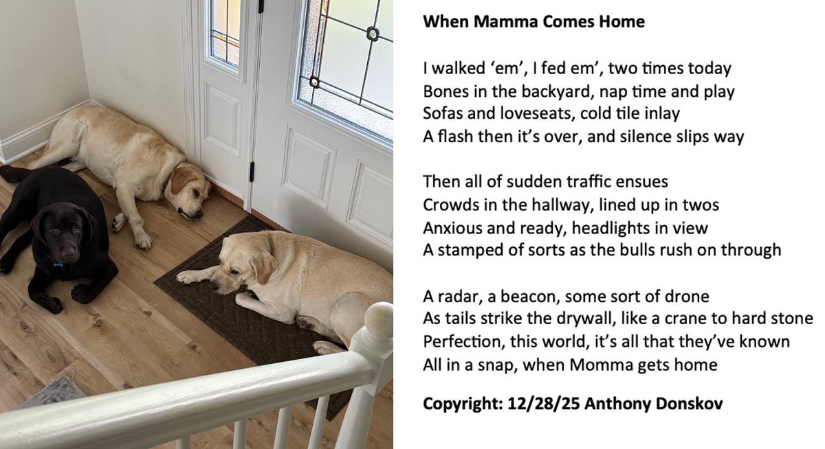 Anthony Donskov, PhD tweet media