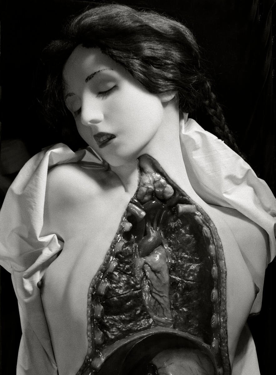 Inara Vesper tweet media