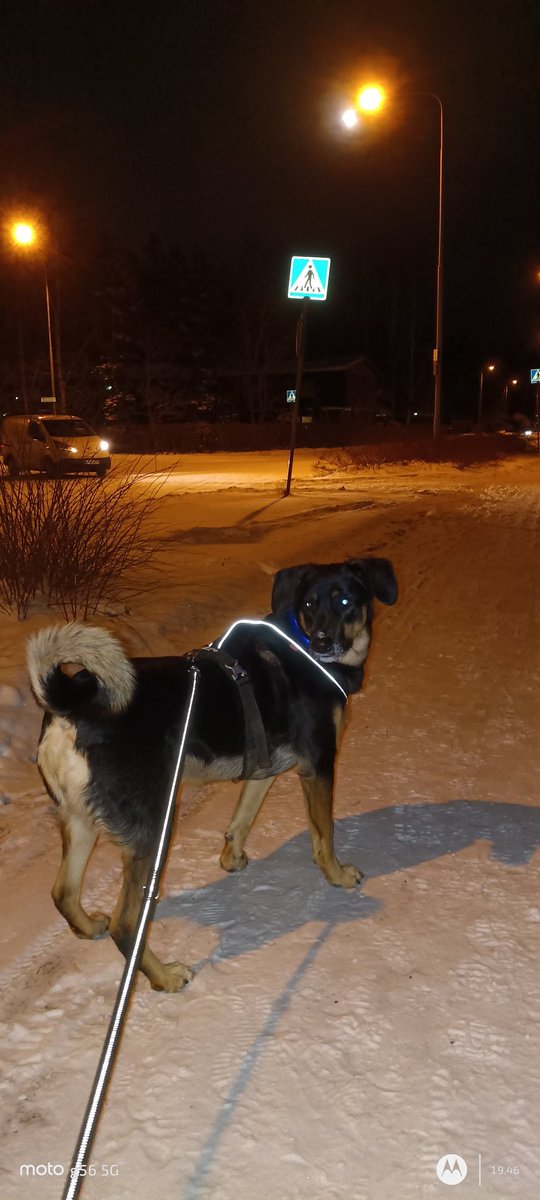 Ai ai, nyt on vilpoista.
Tuntuu kuin - 24 ja pieni puhuri, piipit jäätyisi jos olisi 🙄