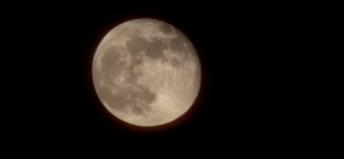 Leigh Stanfield tweet media